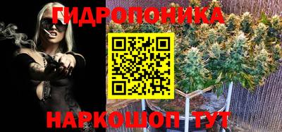 меф Краснознаменск