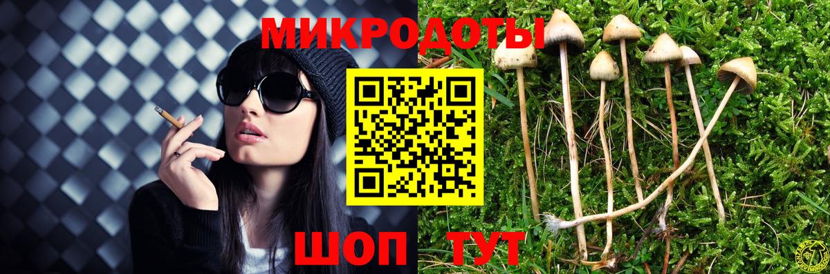 Галлюциногенные грибы прущие грибы Каменск-Уральский