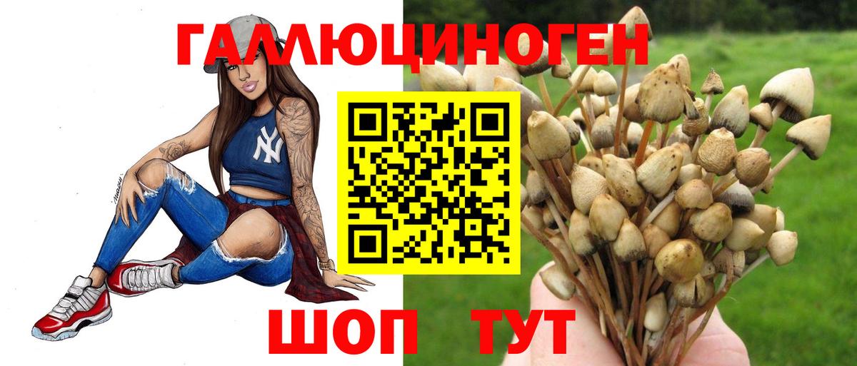 Галлюциногенные грибы прущие грибы  Галлюциногенные грибы Magic Shrooms  Вход с VPN  Каменск-Уральский 